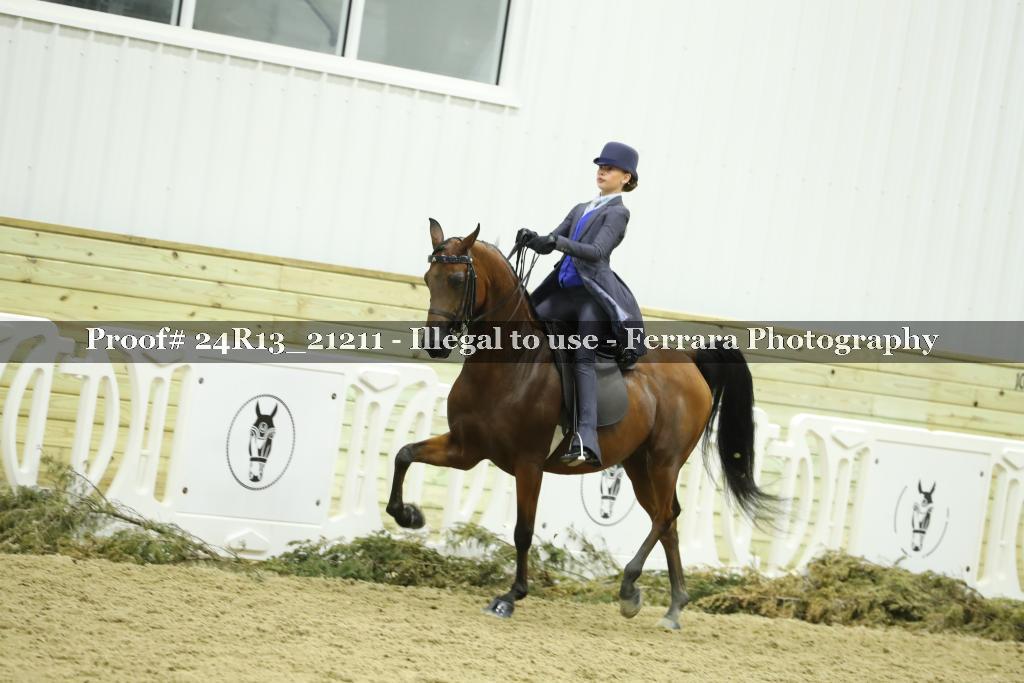 Proof 24R13_21211
