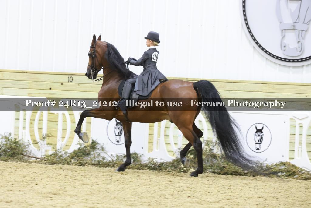 Proof 24R13_21212