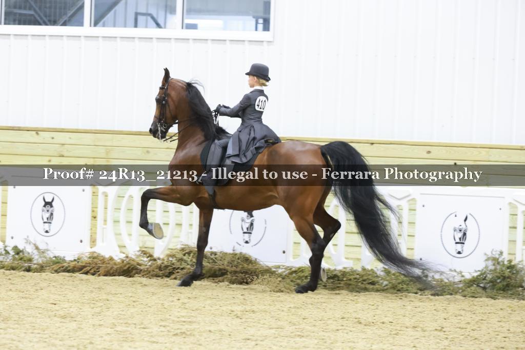 Proof 24R13_21213