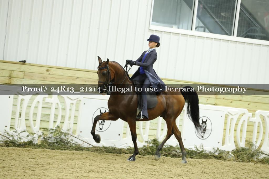 Proof 24R13_21214