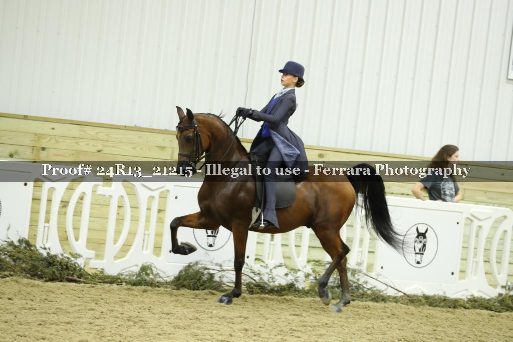 Proof 24R13_21215