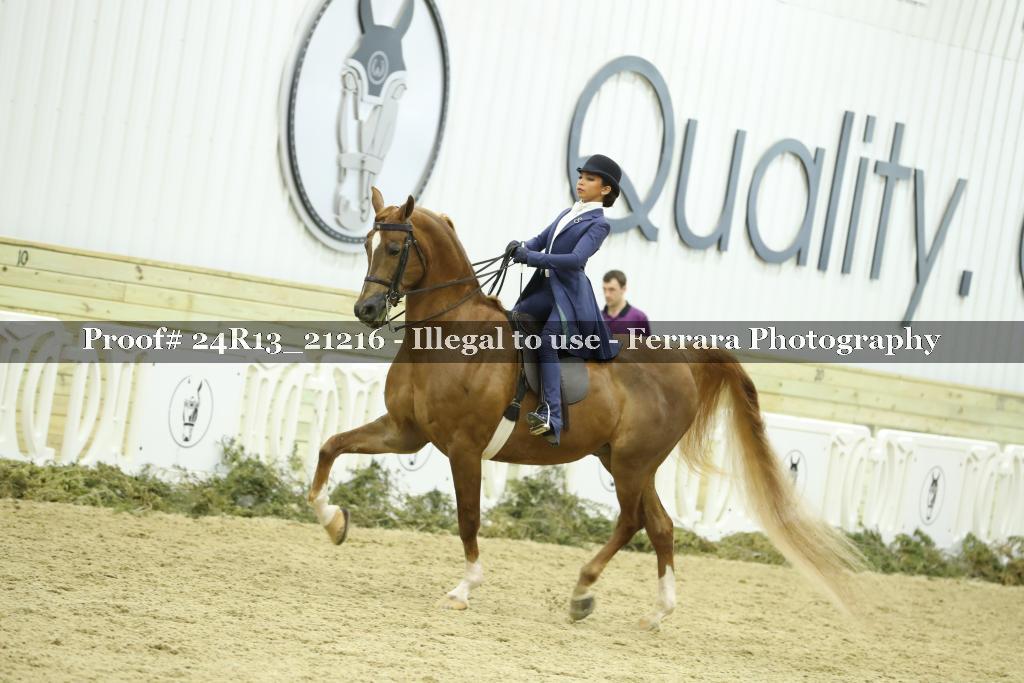Proof 24R13_21216