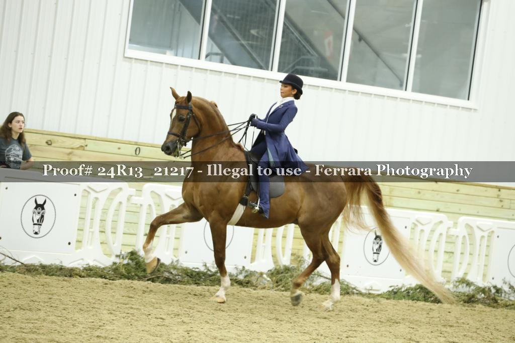 Proof 24R13_21217