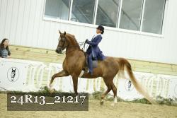 24R13_21217 proof