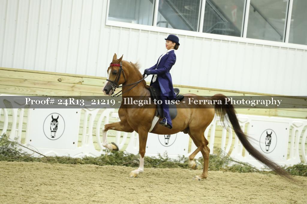 Proof 24R13_21219