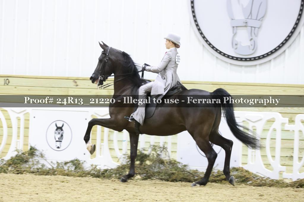 Proof 24R13_21220
