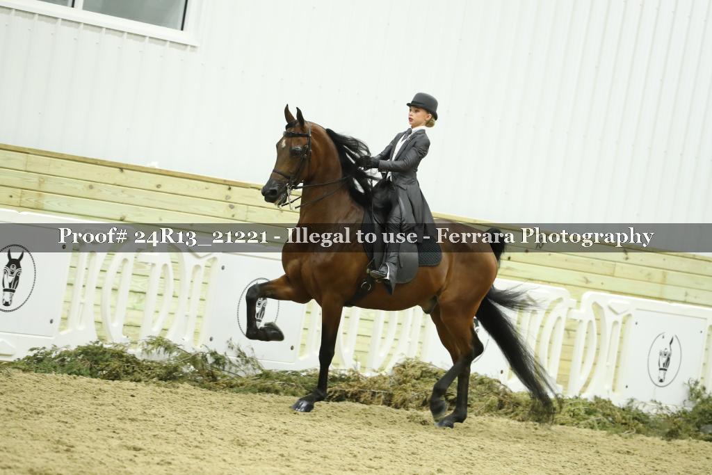 Proof 24R13_21221