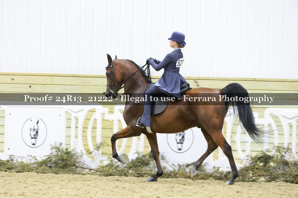 Proof 24R13_21222