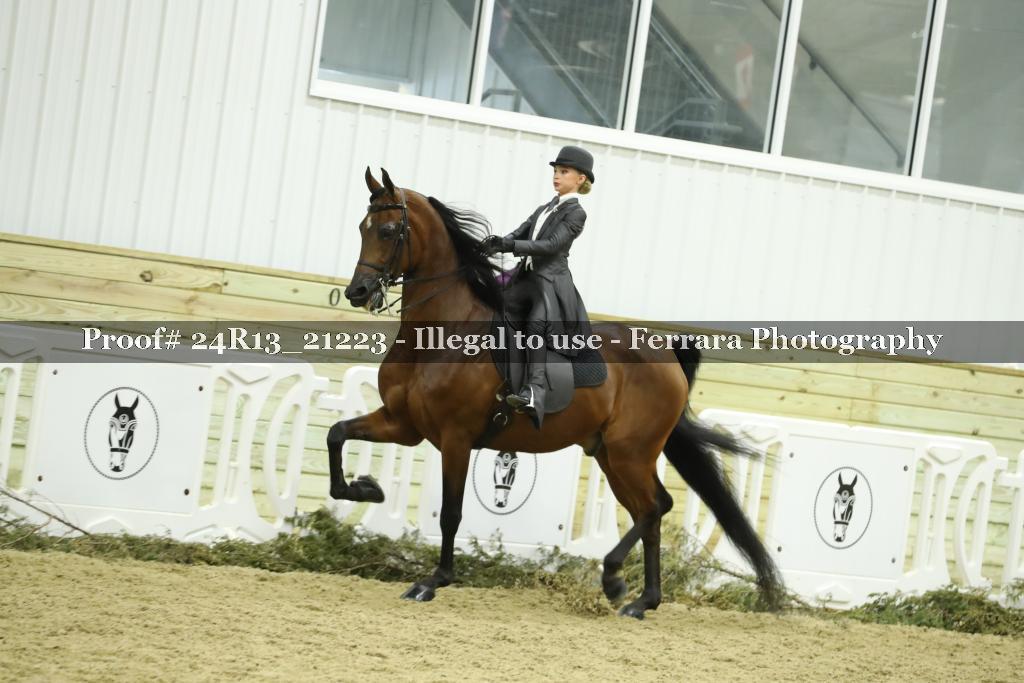 Proof 24R13_21223