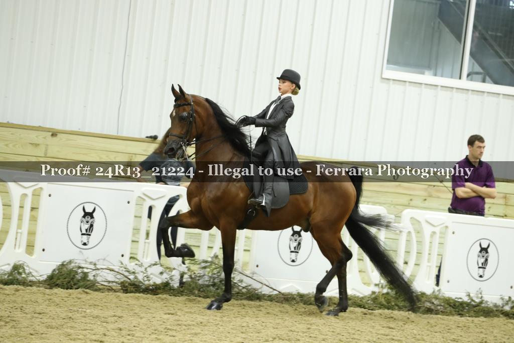 Proof 24R13_21224