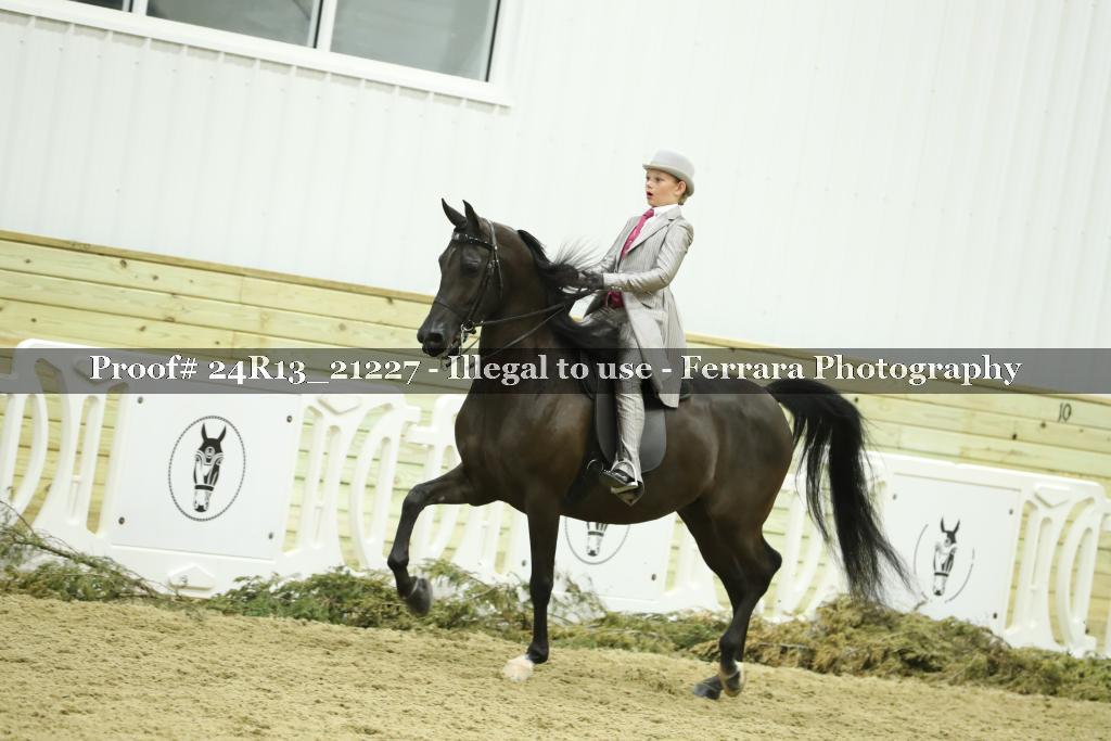 Proof 24R13_21227