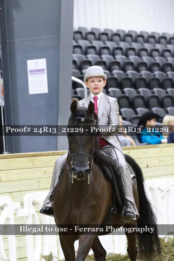 Proof 24R13_21229