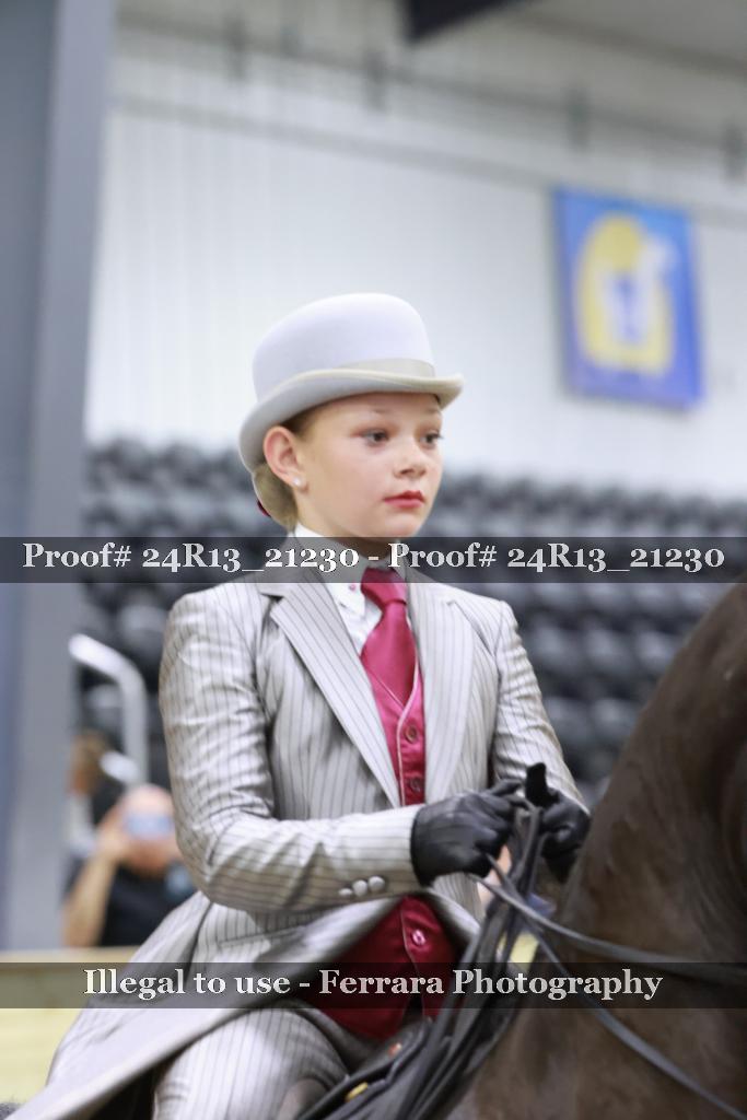 Proof 24R13_21230