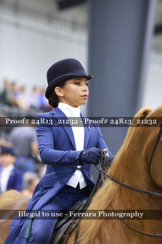 Proof 24R13_21232