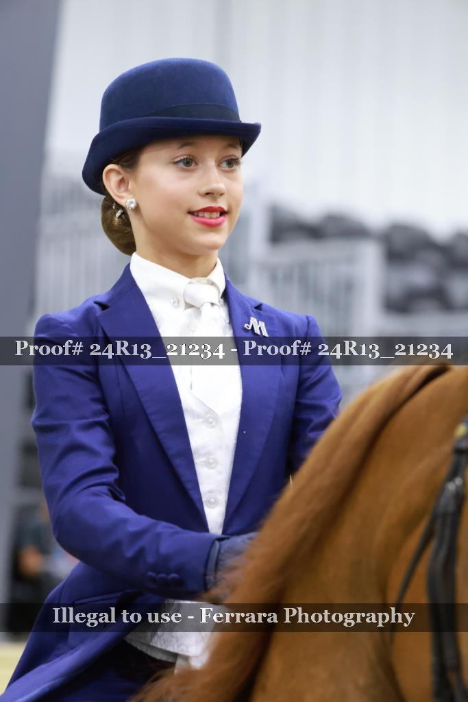 Proof 24R13_21234