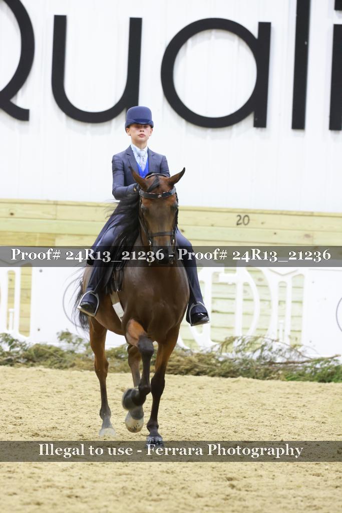 Proof 24R13_21236