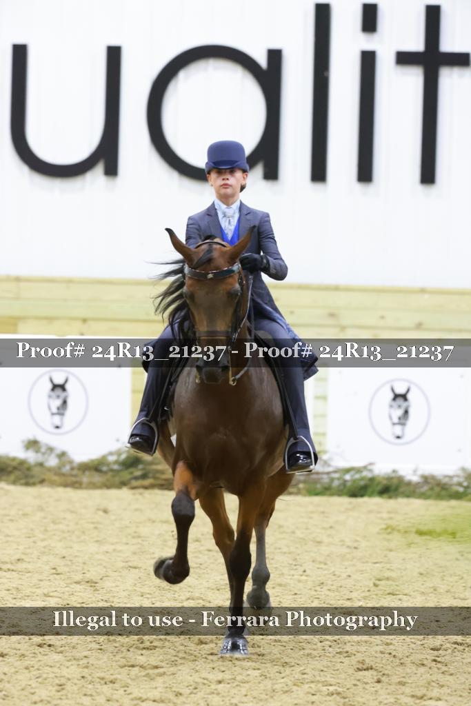 Proof 24R13_21237