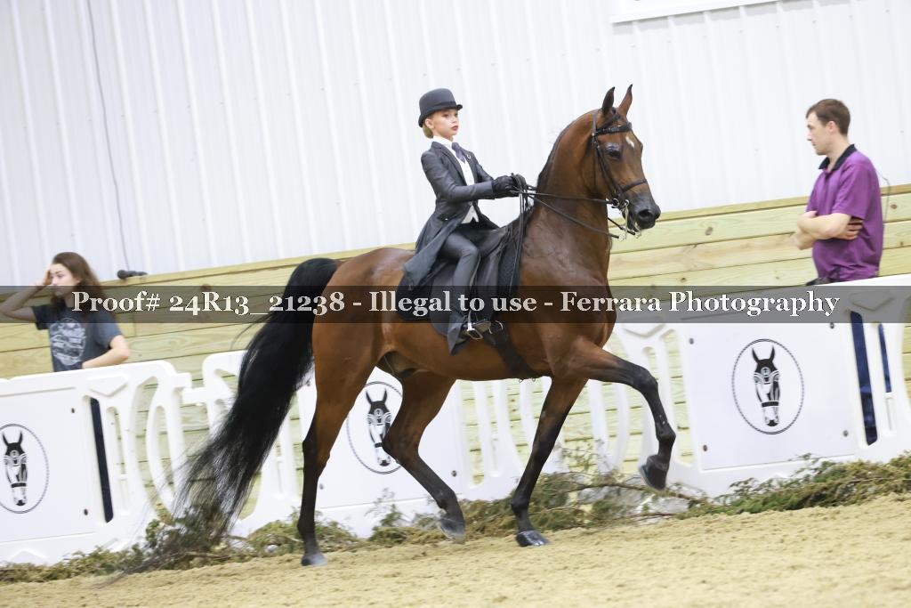 Proof 24R13_21238