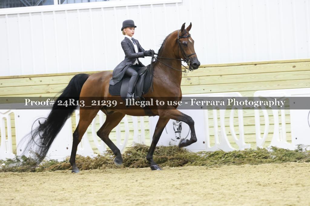 Proof 24R13_21239