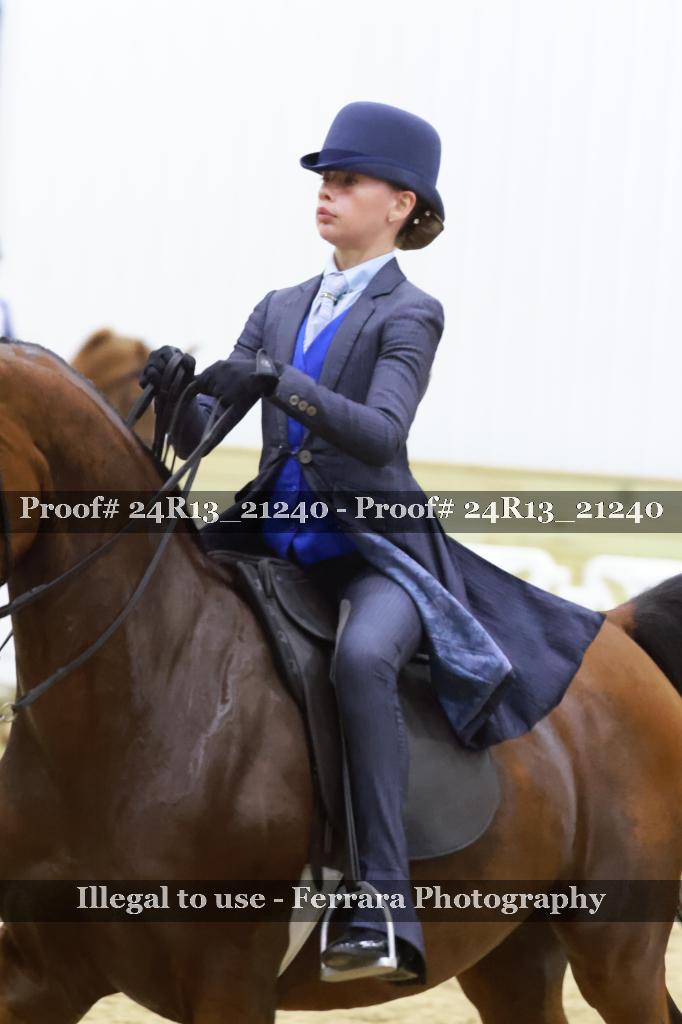 Proof 24R13_21240