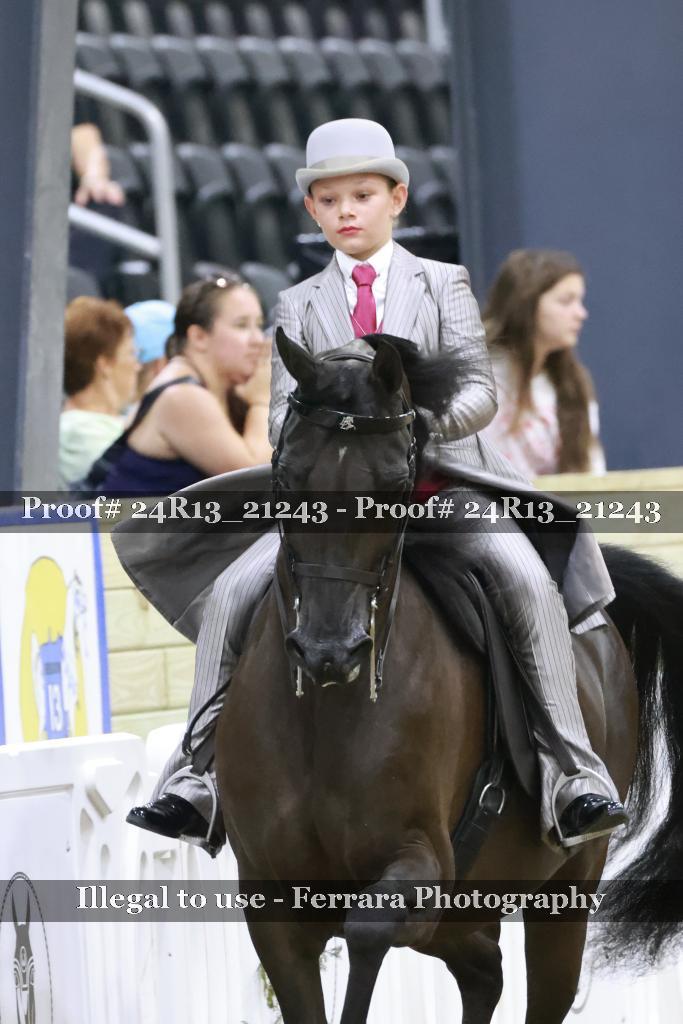 Proof 24R13_21243