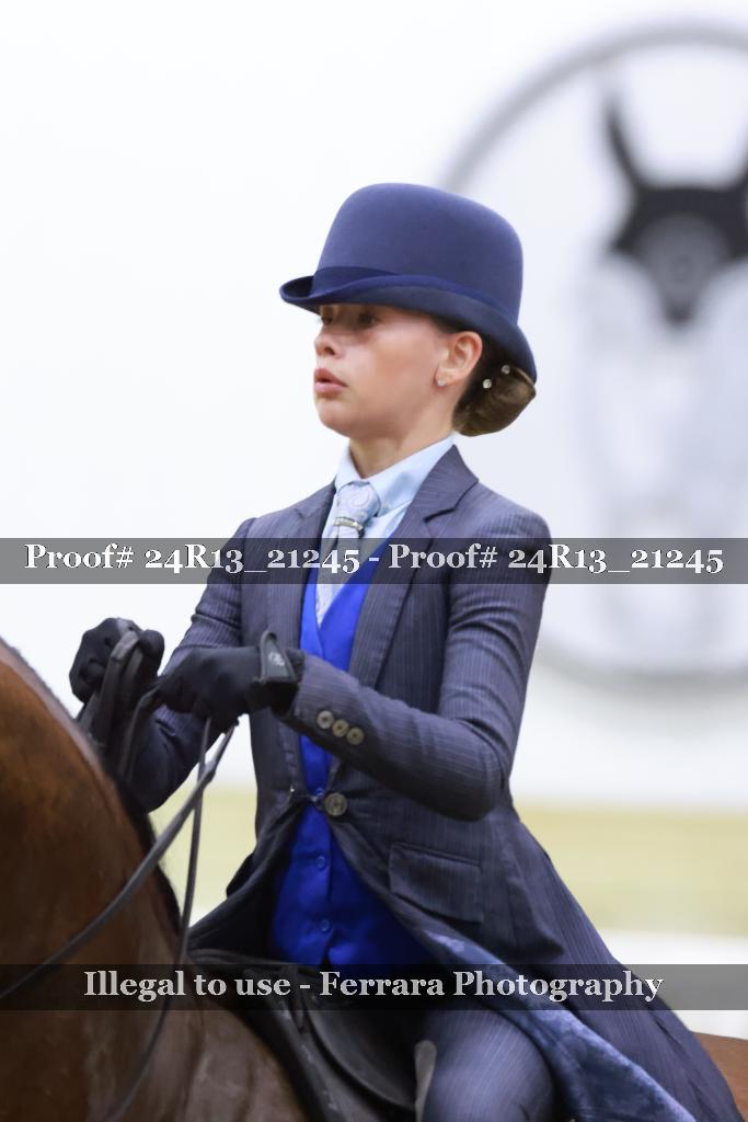Proof 24R13_21245