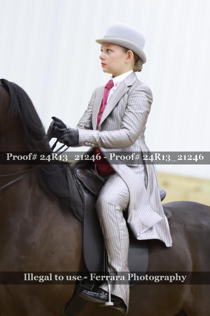 Proof 24R13_21246