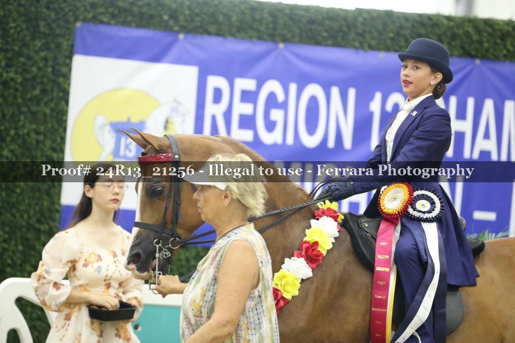 Proof 24R13_21256
