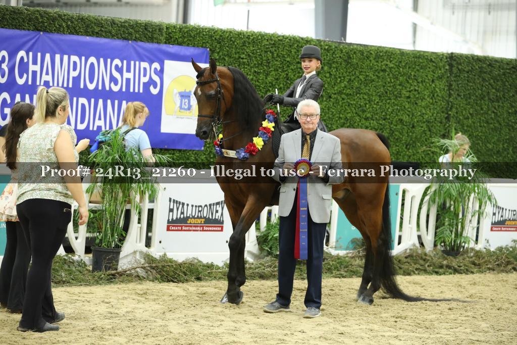 Proof 24R13_21260