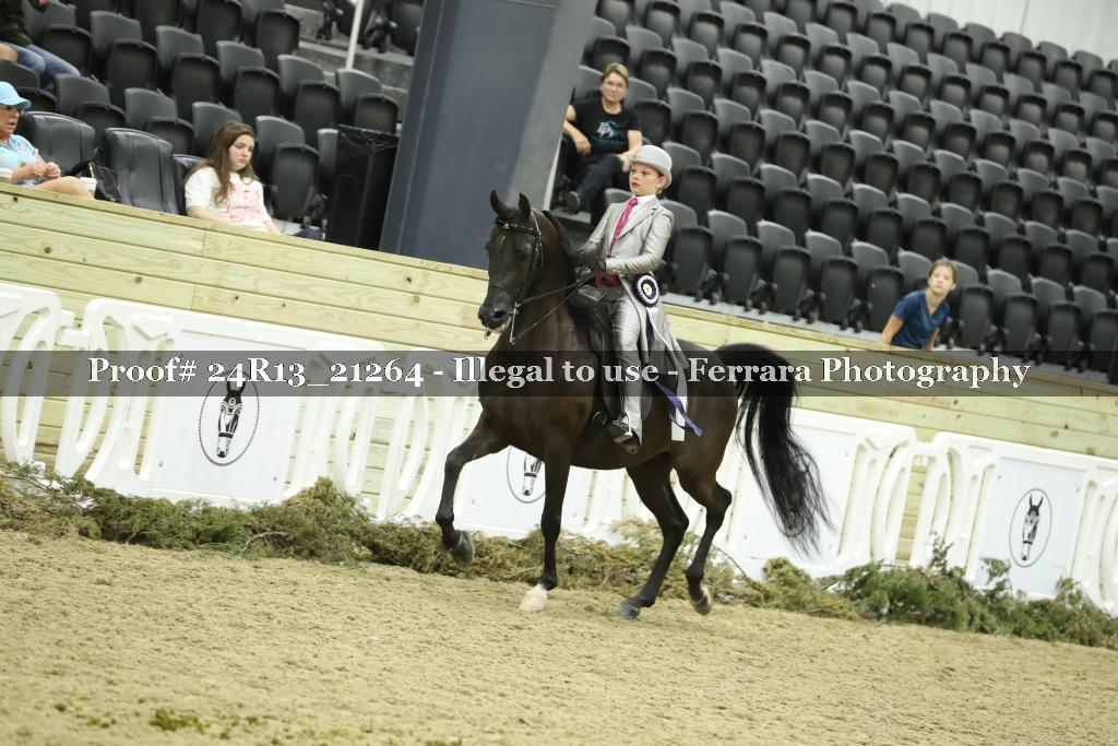Proof 24R13_21264