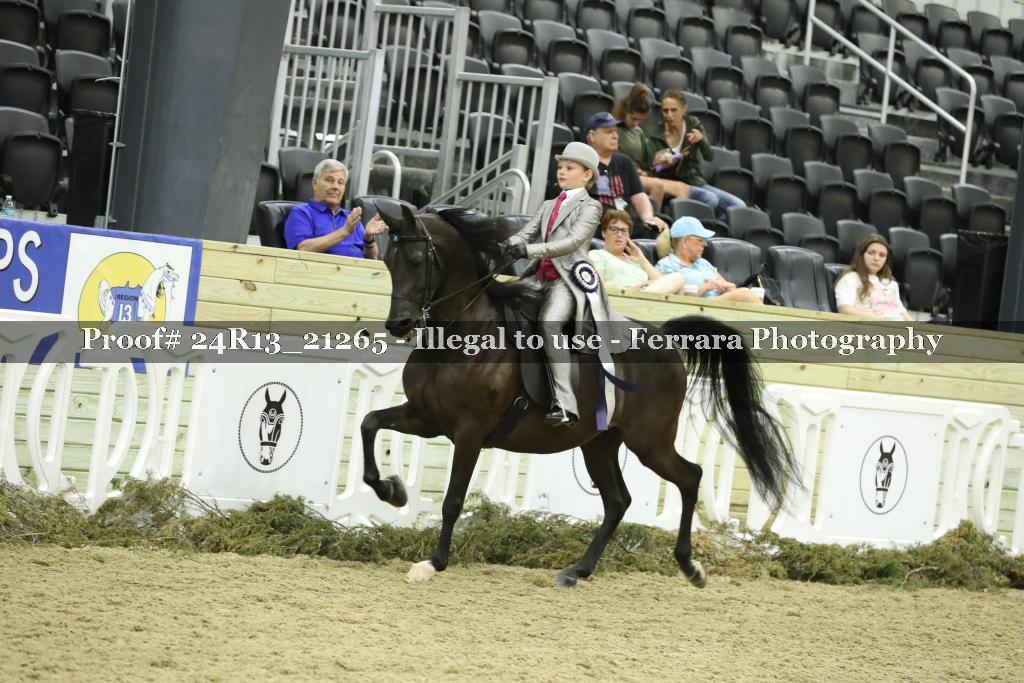 Proof 24R13_21265