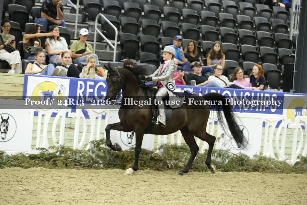 Proof 24R13_21267