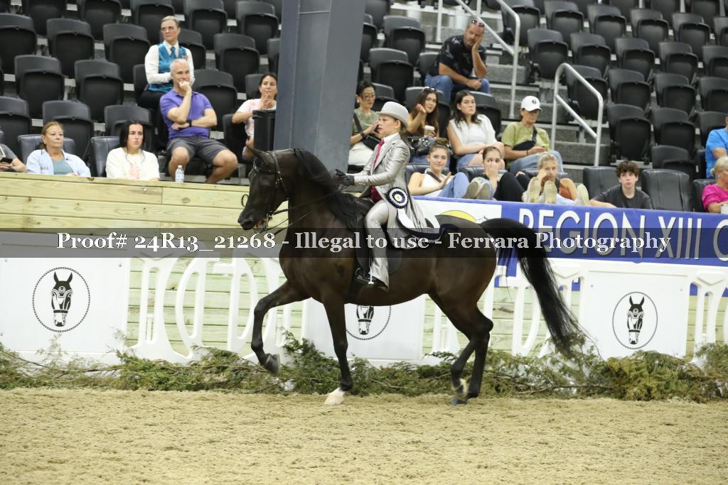 Proof 24R13_21268