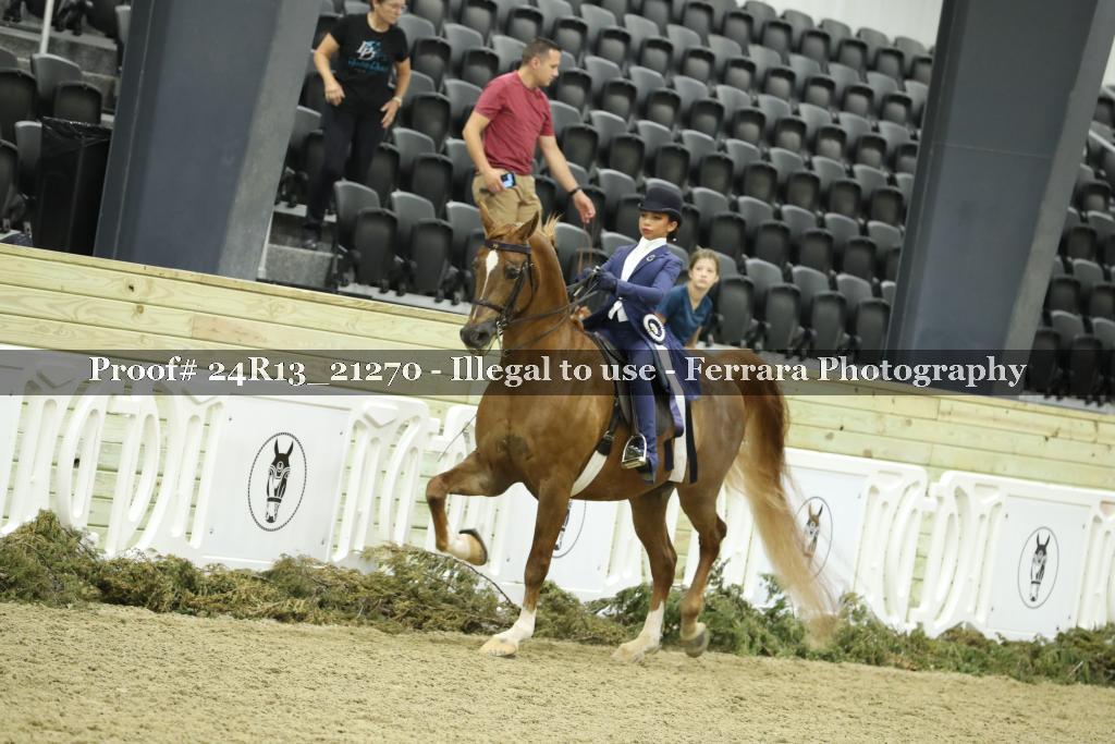 Proof 24R13_21270