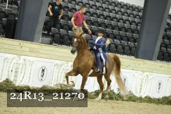 24R13_21270 proof