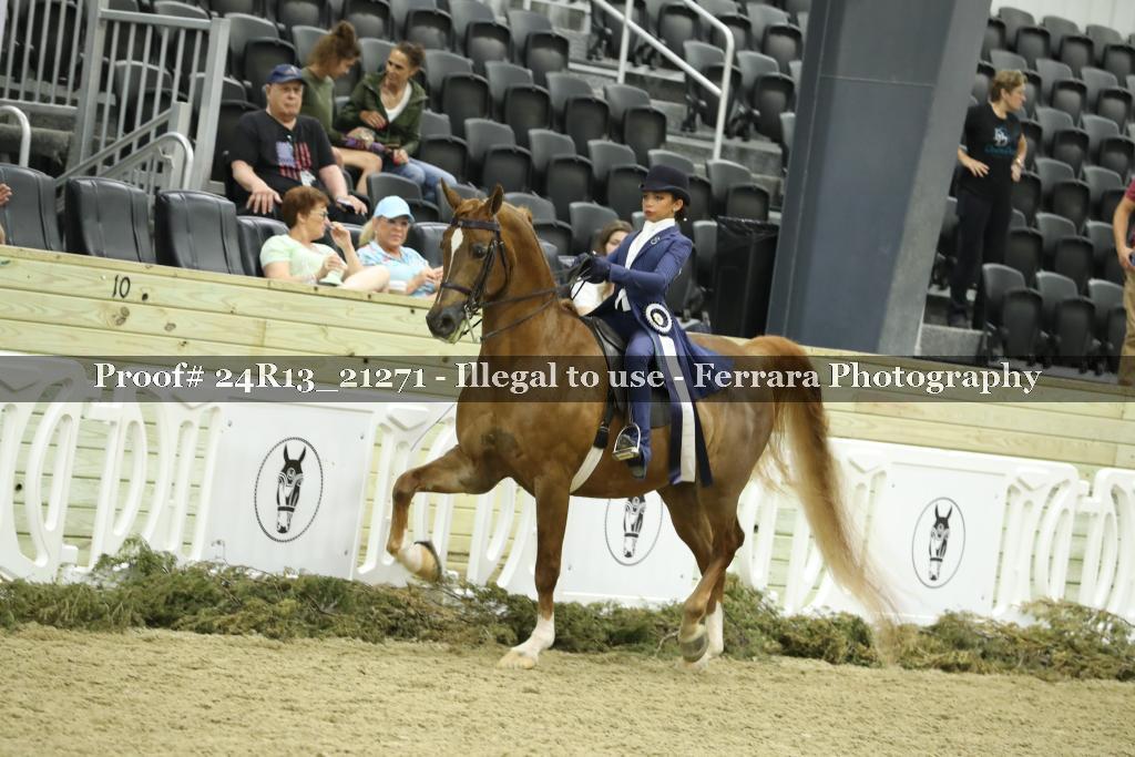 Proof 24R13_21271