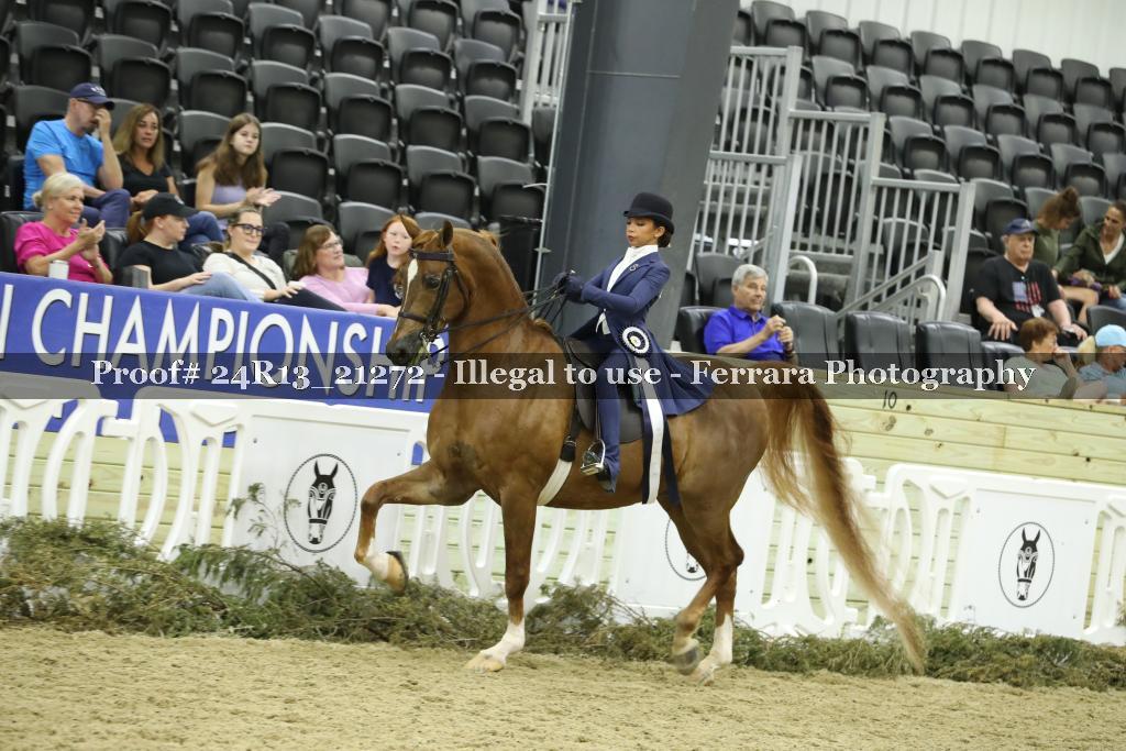 Proof 24R13_21272