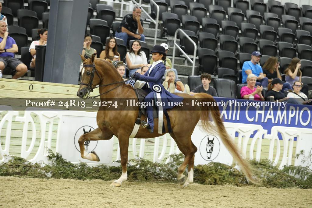 Proof 24R13_21274