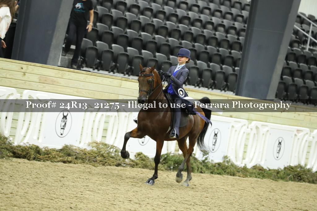 Proof 24R13_21275