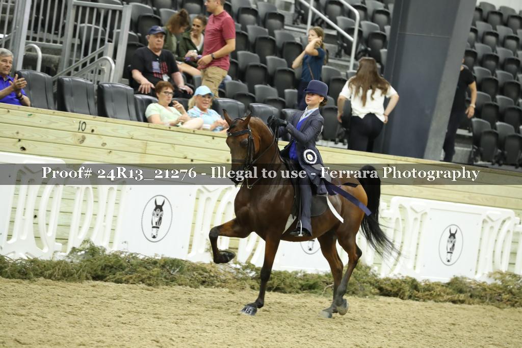 Proof 24R13_21276