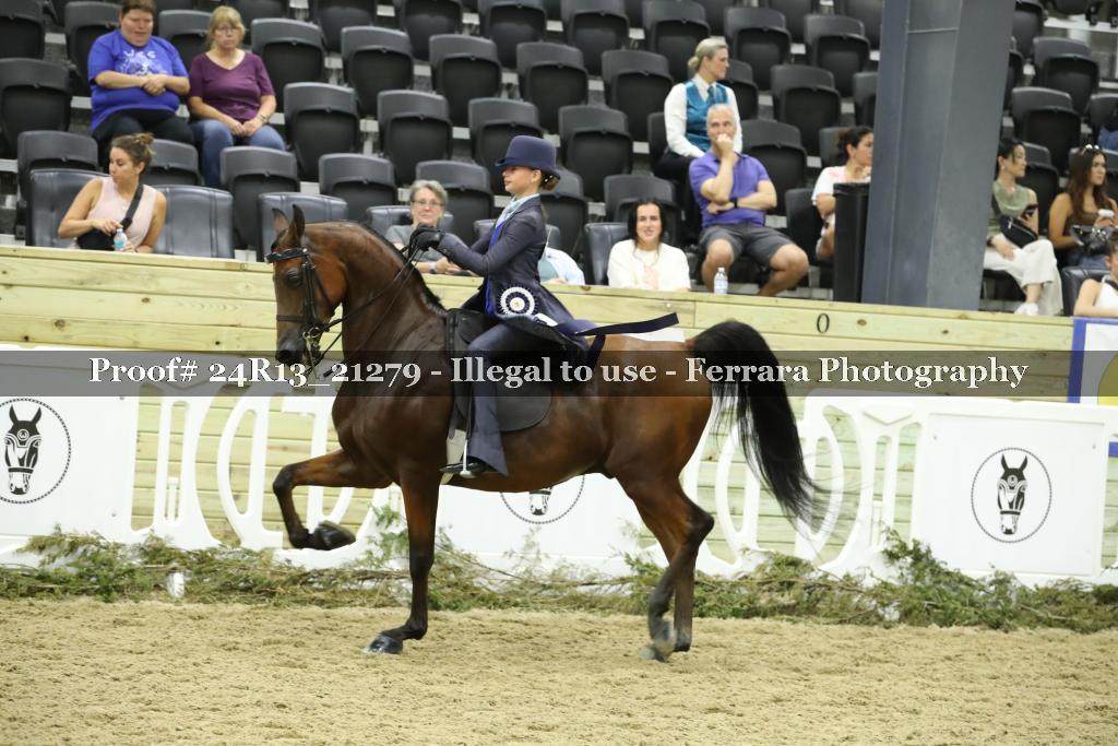 Proof 24R13_21279