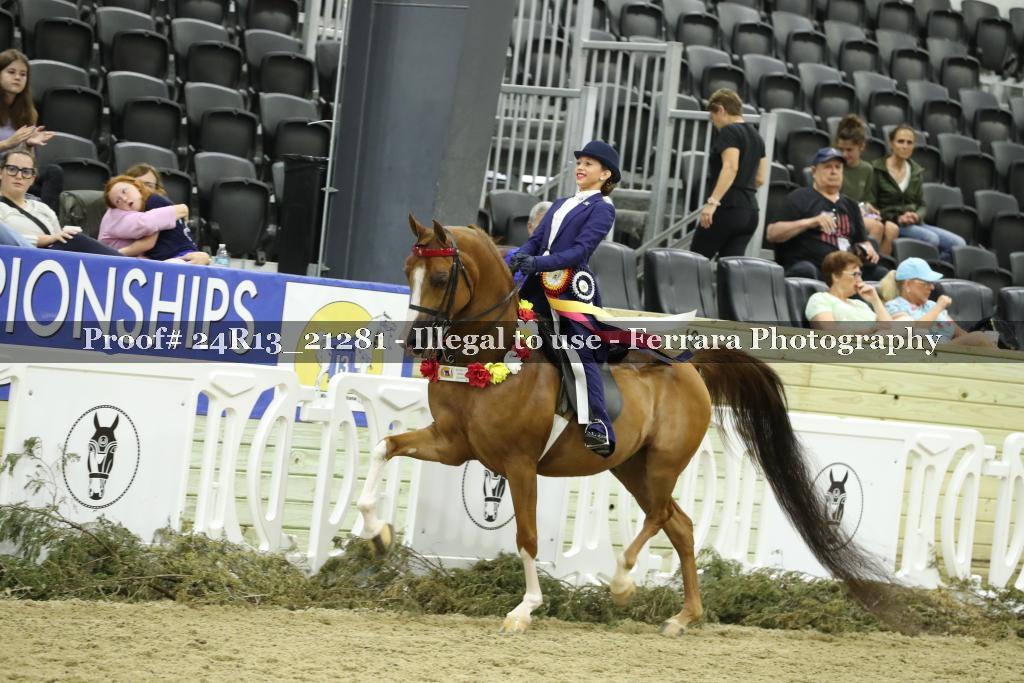 Proof 24R13_21281