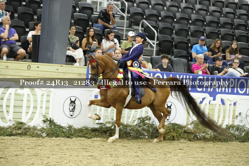 Proof 24R13_21283