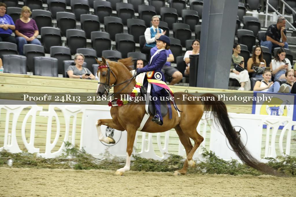 Proof 24R13_21284