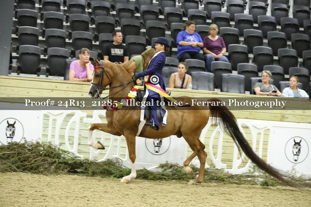 Proof 24R13_21285