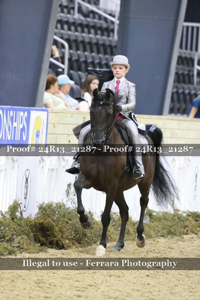 Proof 24R13_21287