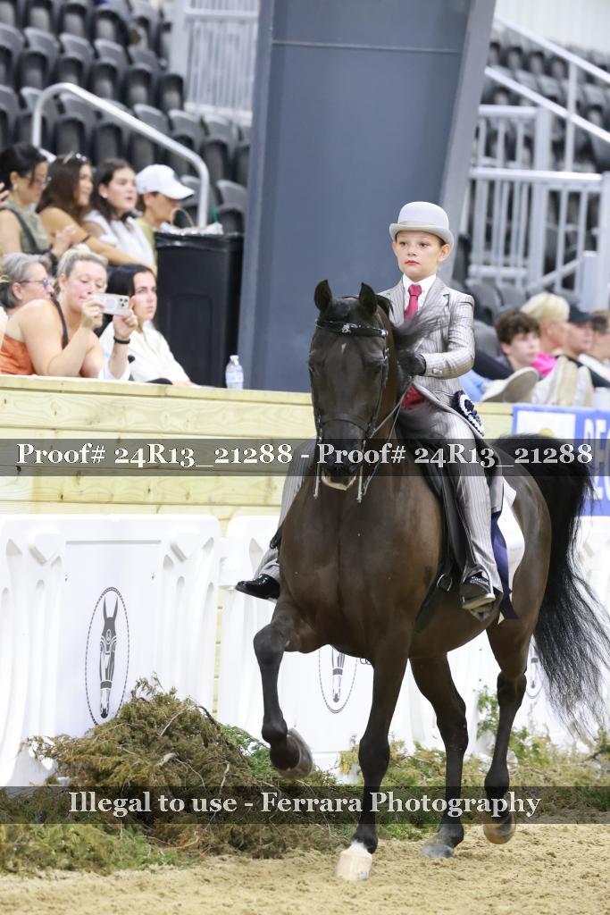 Proof 24R13_21288