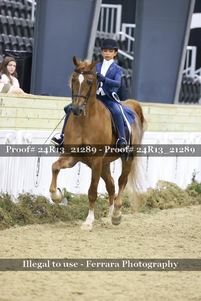 Proof 24R13_21289