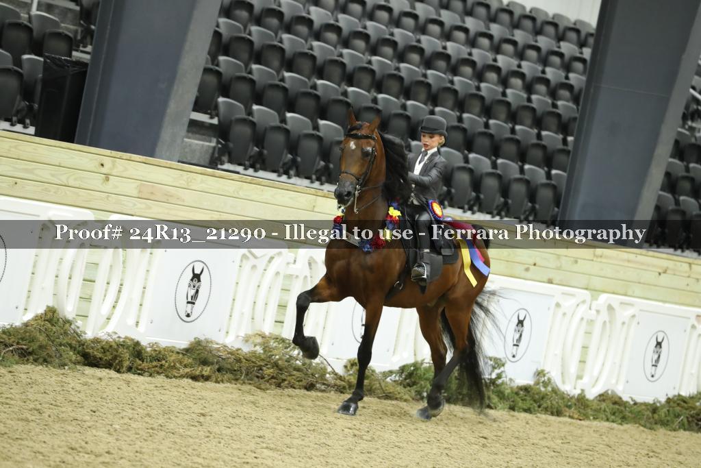 Proof 24R13_21290
