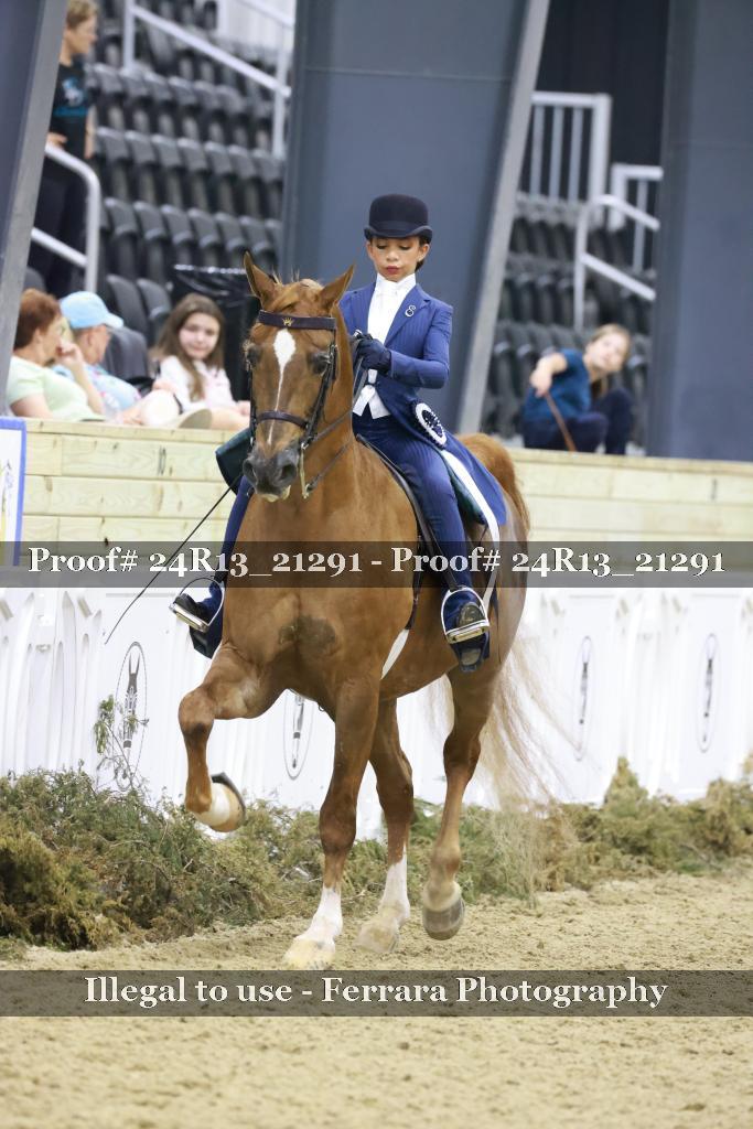 Proof 24R13_21291